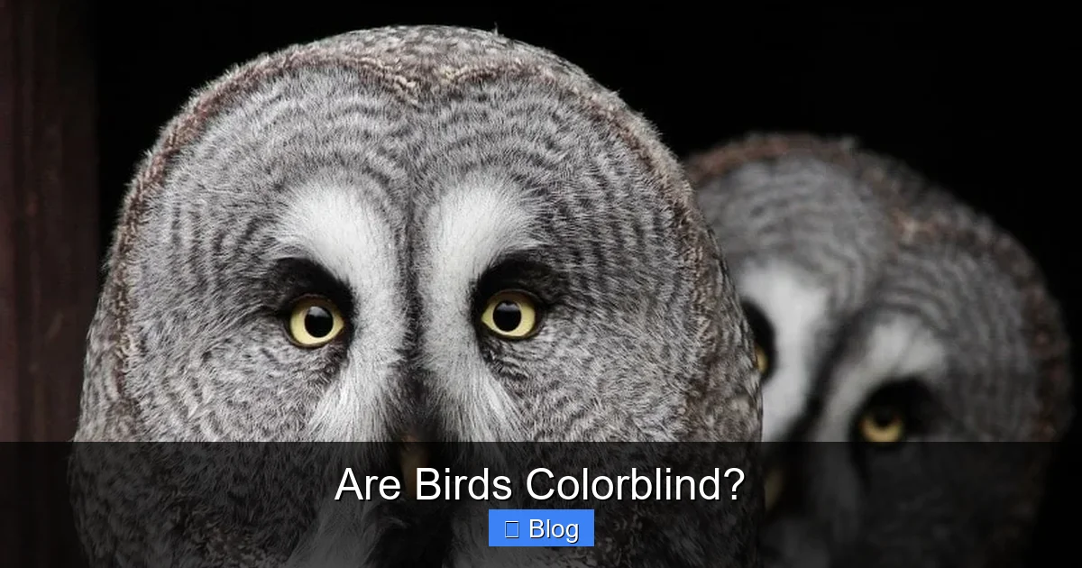 Are Birds Colorblind?