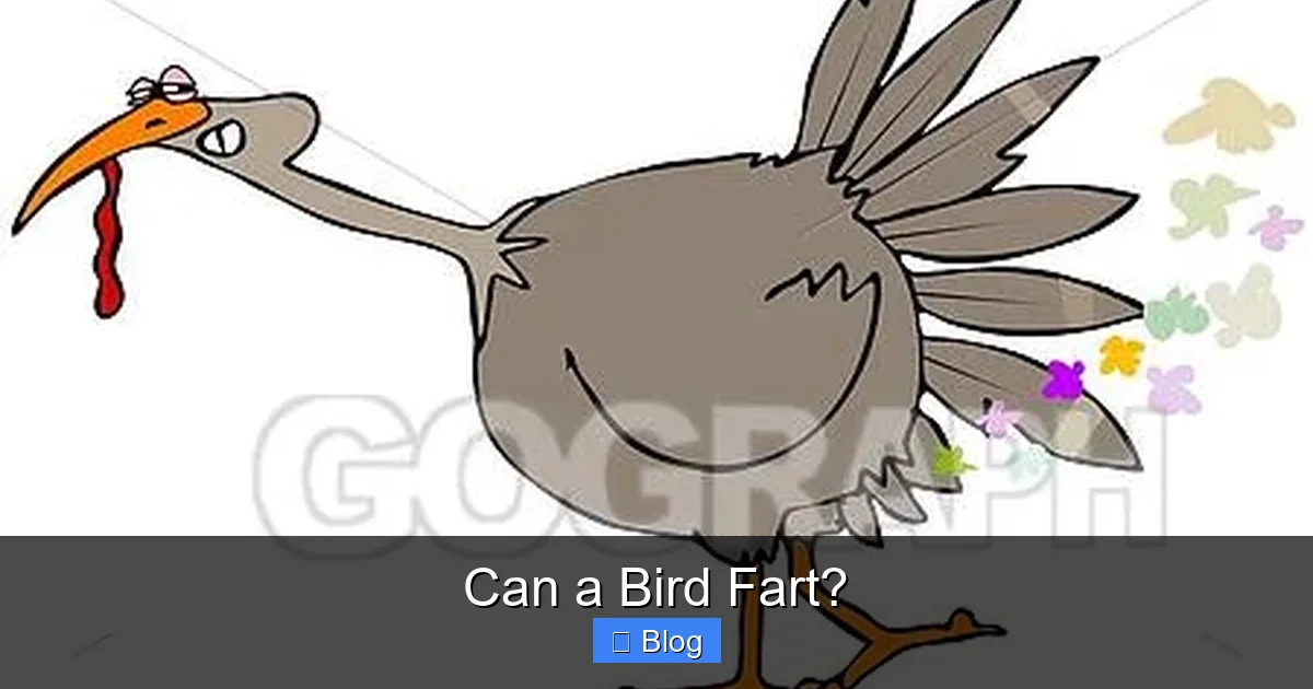Can a Bird Fart?