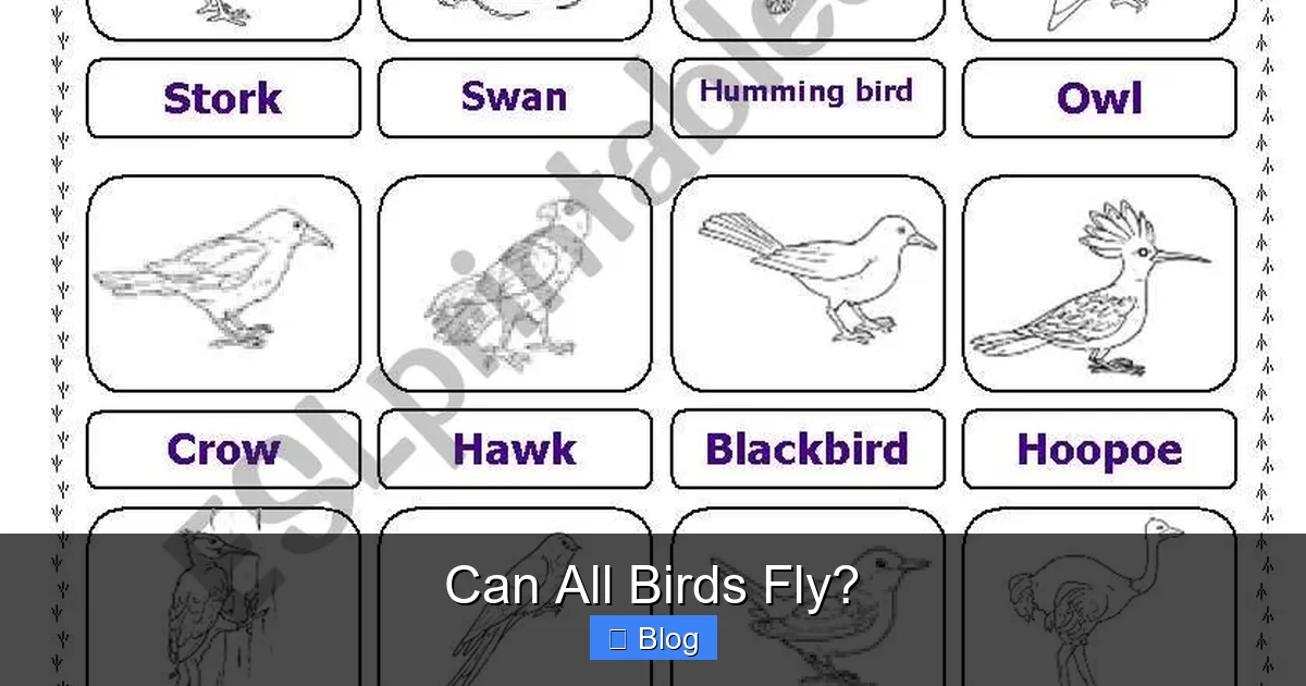 Can All Birds Fly?