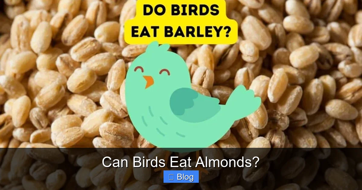 Can Birds Eat Almonds?
