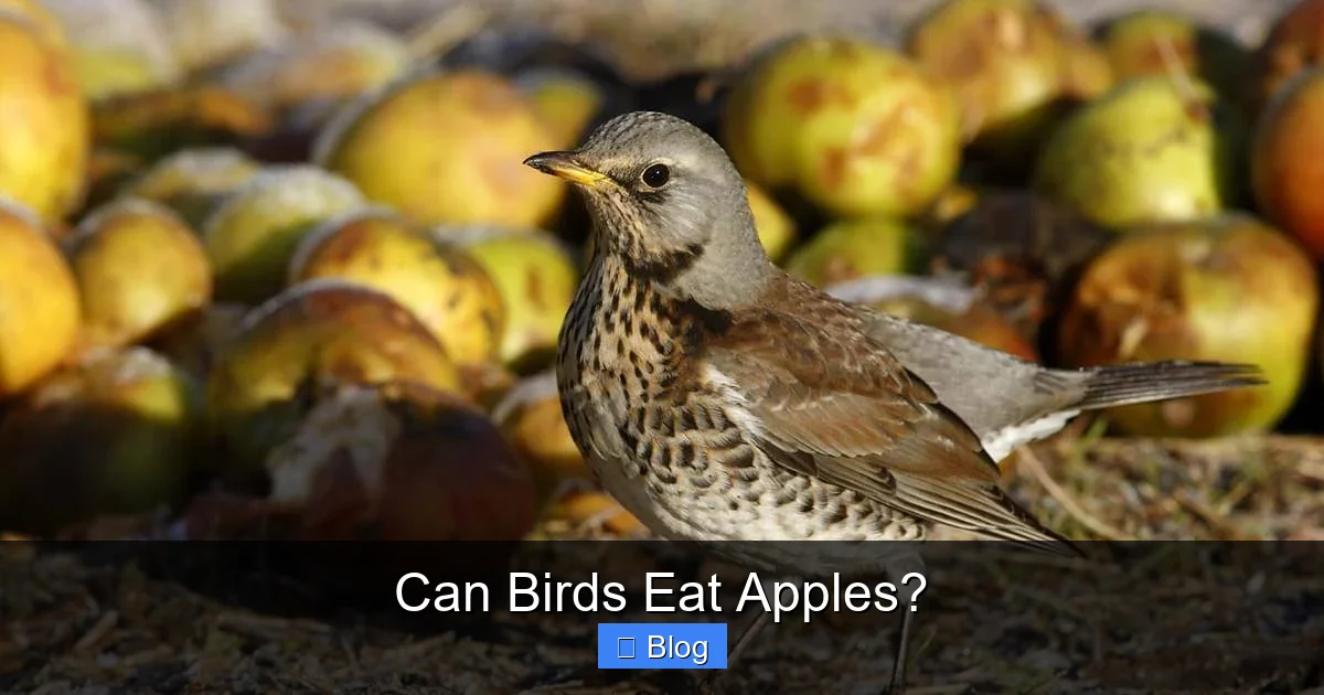 Can Birds Eat Apples?