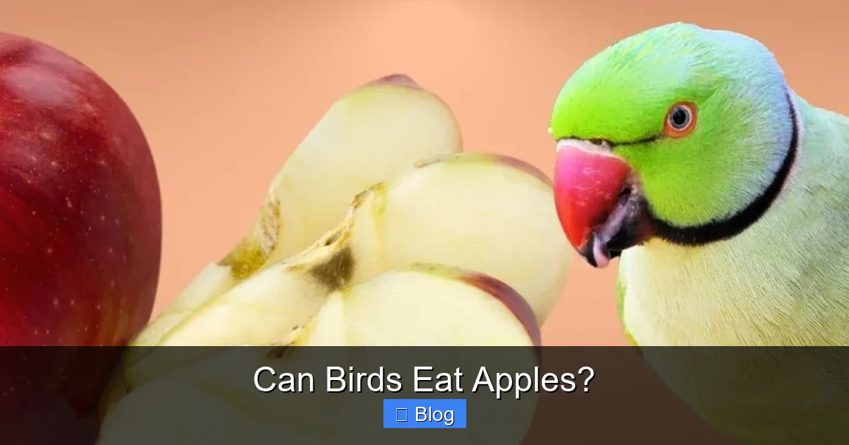 Can Birds Eat Apples?