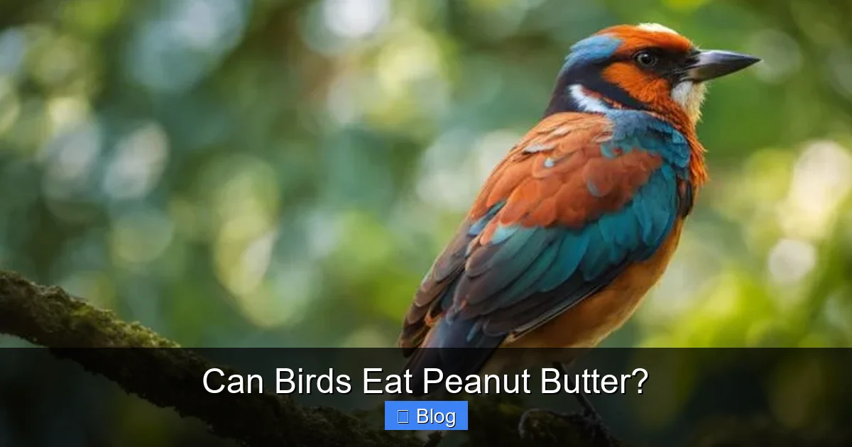 Can Birds Eat Peanut Butter?