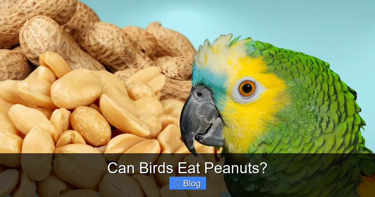 Can Birds Eat Peanuts?