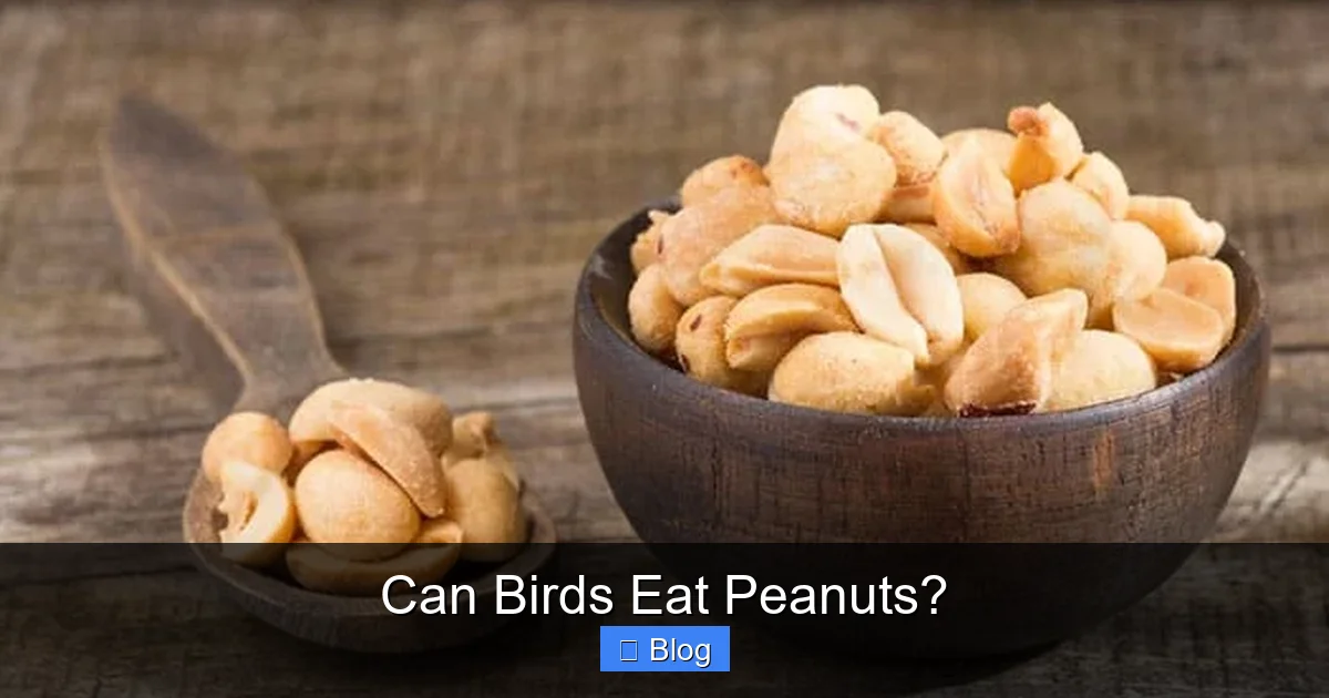 Can Birds Eat Peanuts?