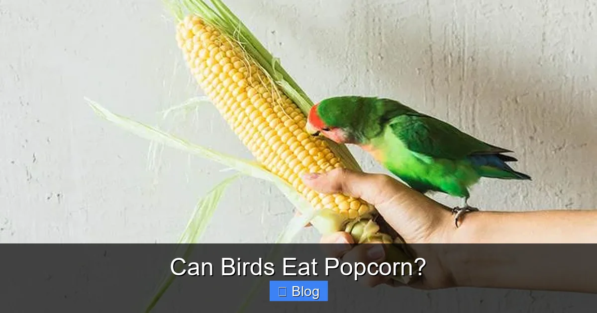 Can Birds Eat Popcorn?