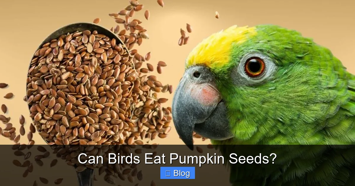 Can Birds Eat Pumpkin Seeds?