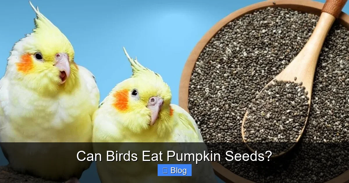 Can Birds Eat Pumpkin Seeds?