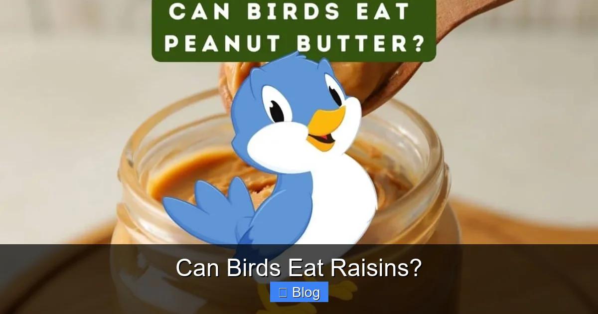 Can Birds Eat Raisins?