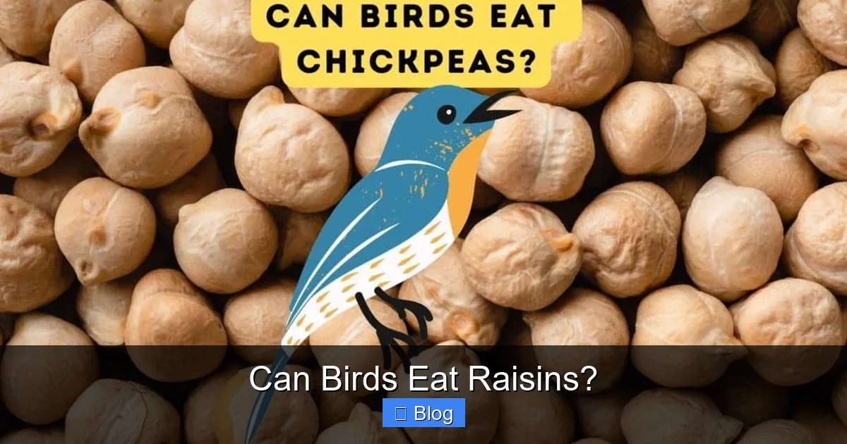 Can Birds Eat Raisins?