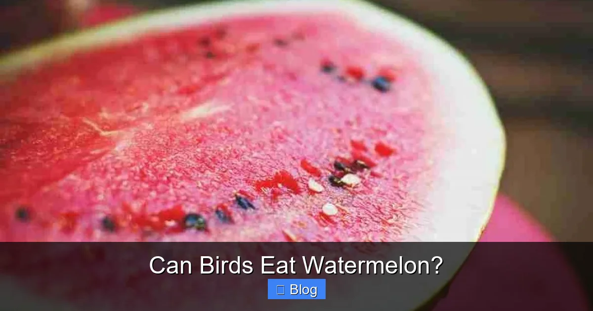 Can Birds Eat Watermelon?