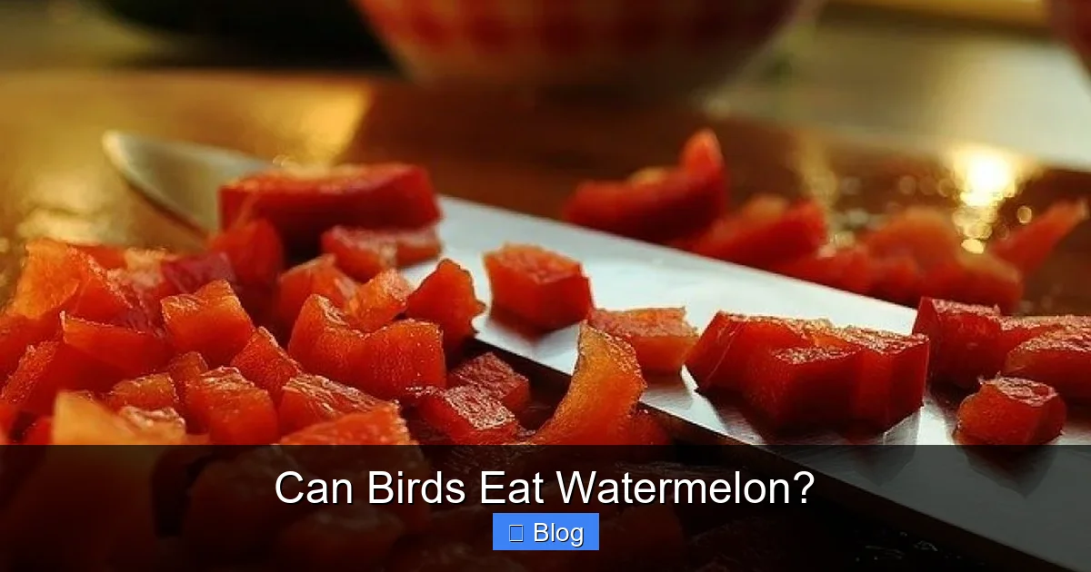 Can Birds Eat Watermelon?