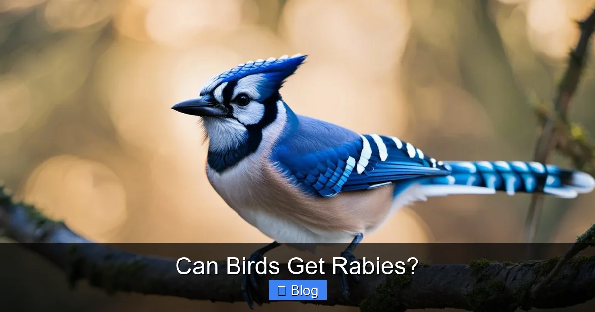 Can Birds Get Rabies?
