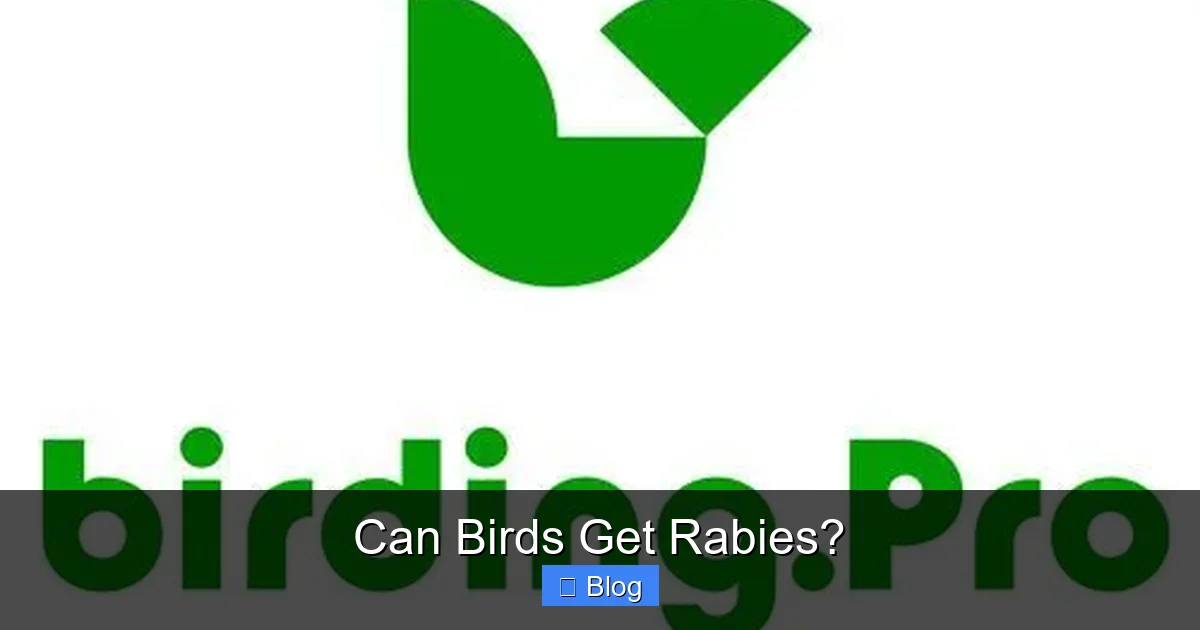 Can Birds Get Rabies?