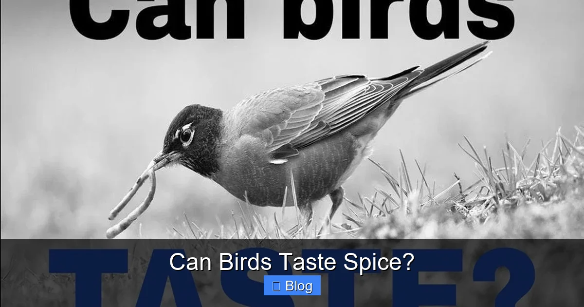 Can Birds Taste Spice?