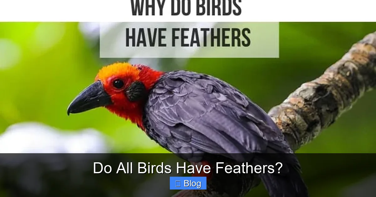 Do All Birds Have Feathers?