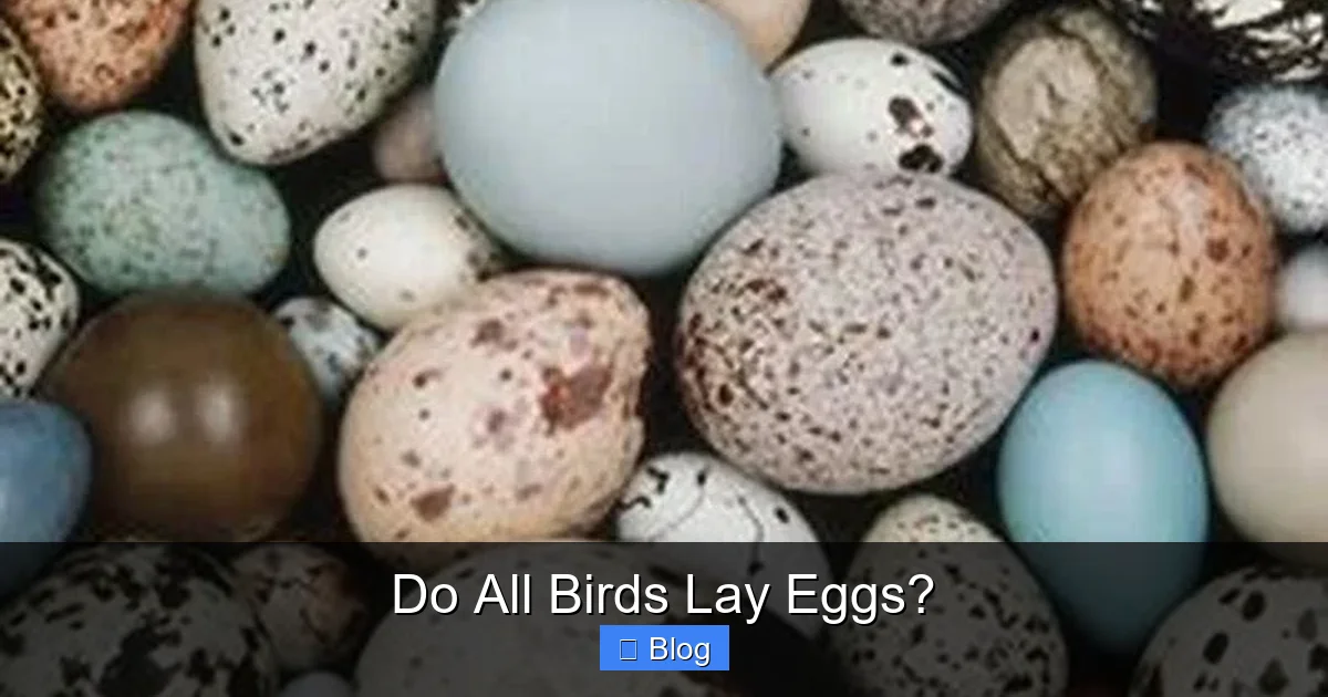 Do All Birds Lay Eggs?