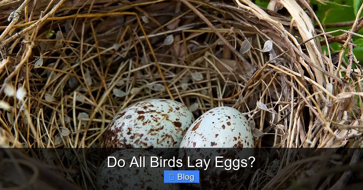 Do All Birds Lay Eggs?