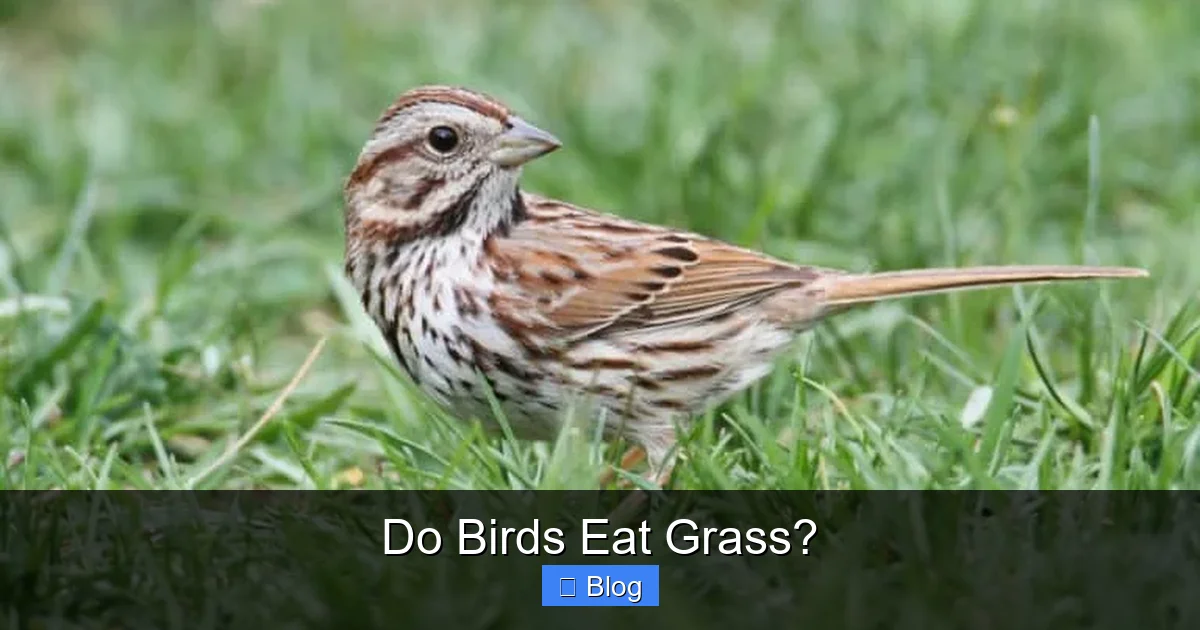 Do Birds Eat Grass?
