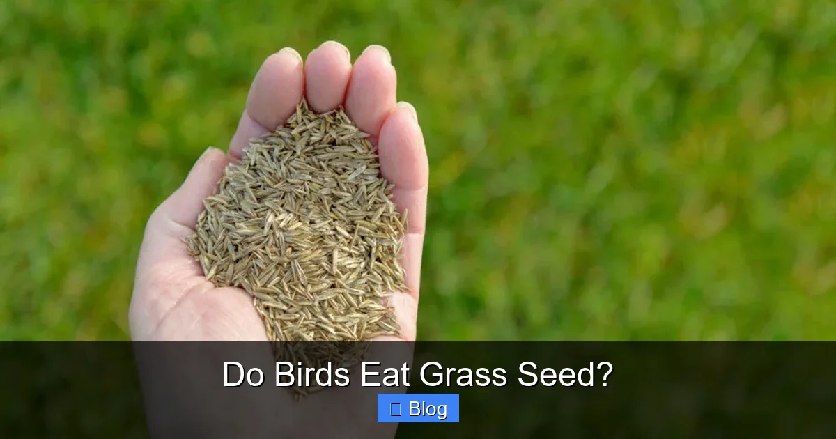 Do Birds Eat Grass Seed?