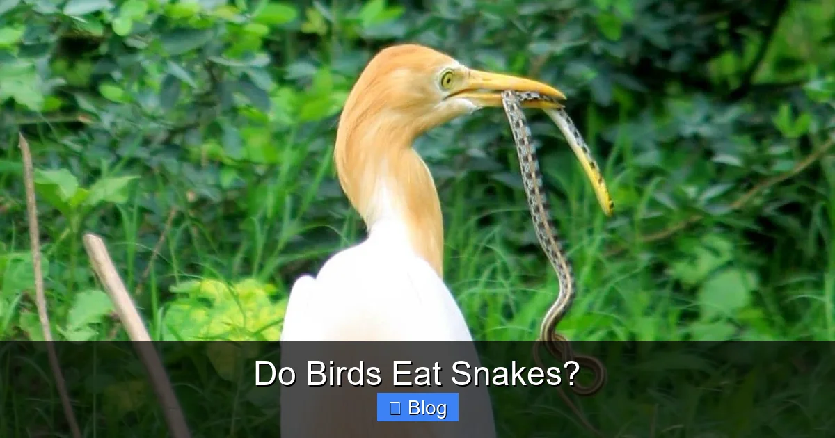 Do Birds Eat Snakes?