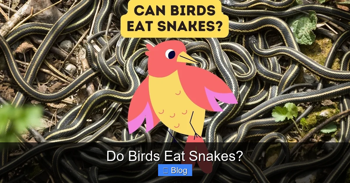Do Birds Eat Snakes?