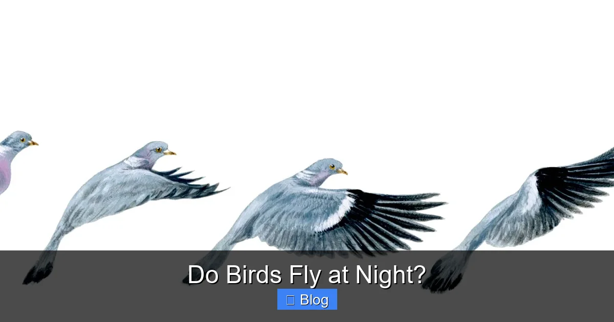 Do Birds Fly at Night?