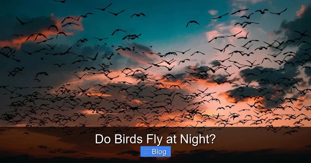 Do Birds Fly at Night?