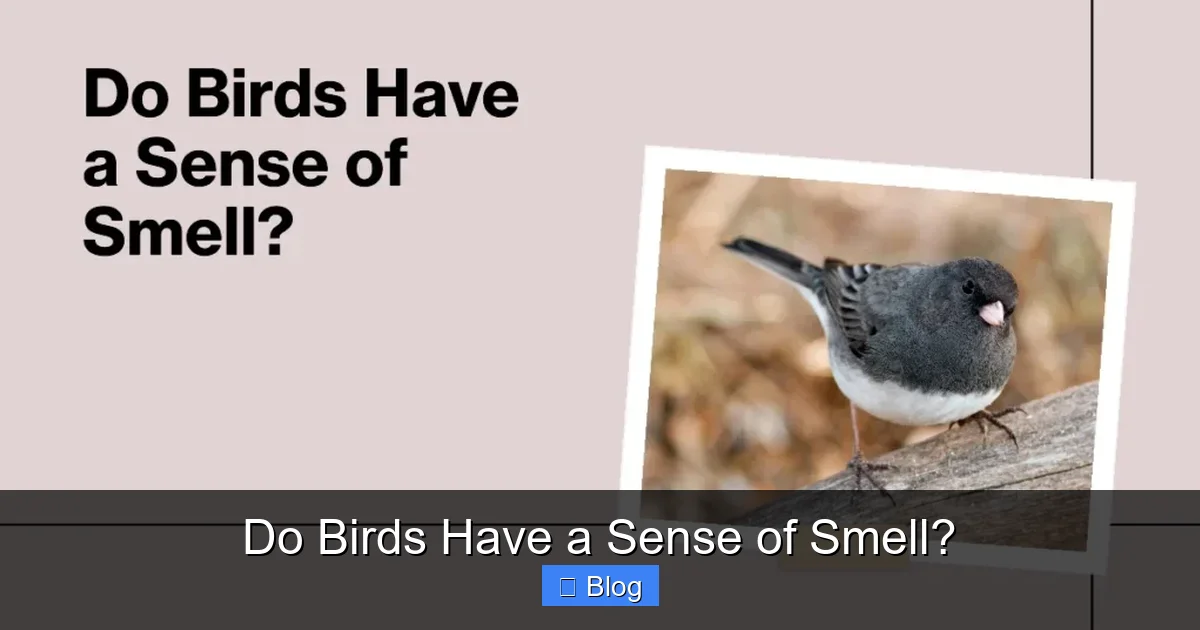 Do Birds Have a Sense of Smell?