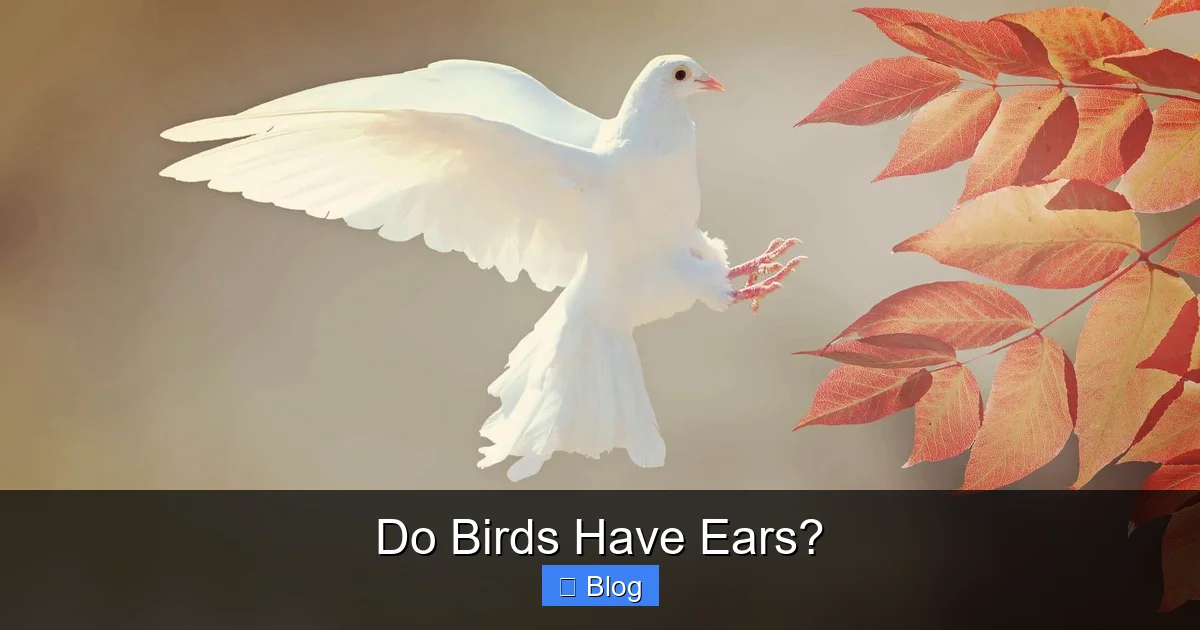 Do Birds Have Ears?