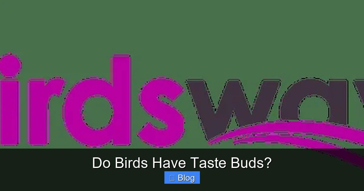 Do Birds Have Taste Buds?