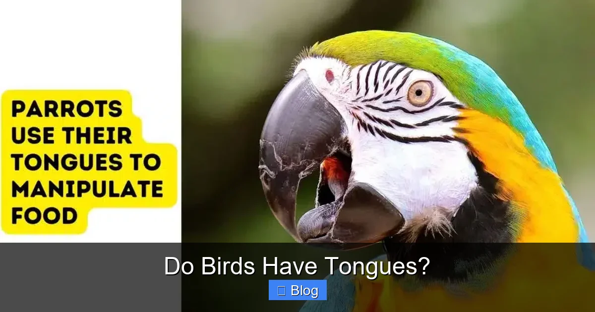 Do Birds Have Tongues?