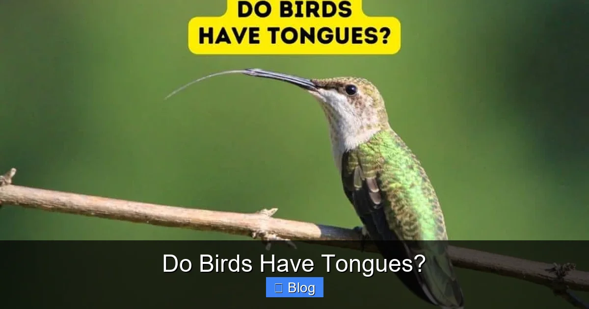 Do Birds Have Tongues?