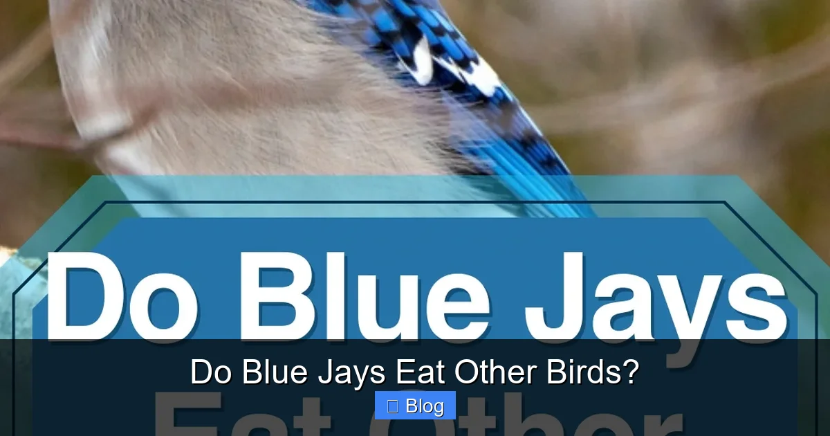 Do Blue Jays Eat Other Birds?
