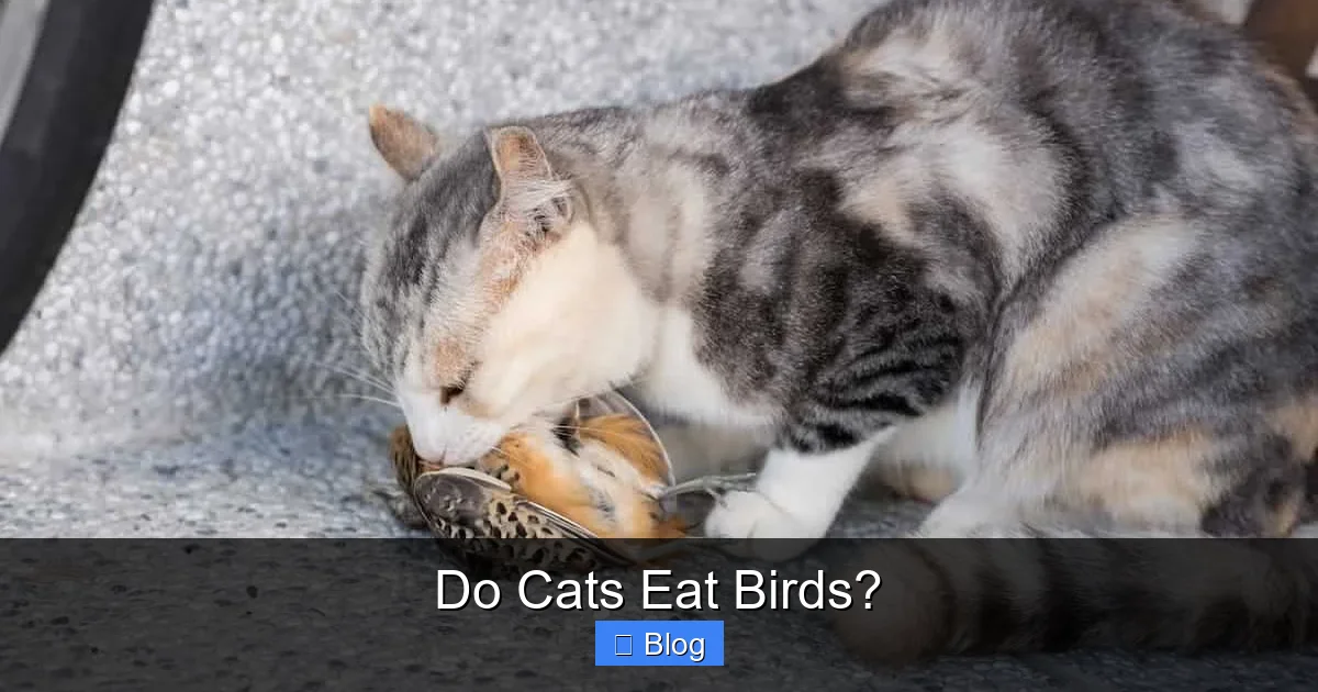 Do Cats Eat Birds?