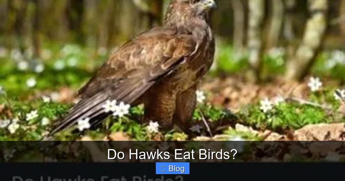 Do Hawks Eat Birds?