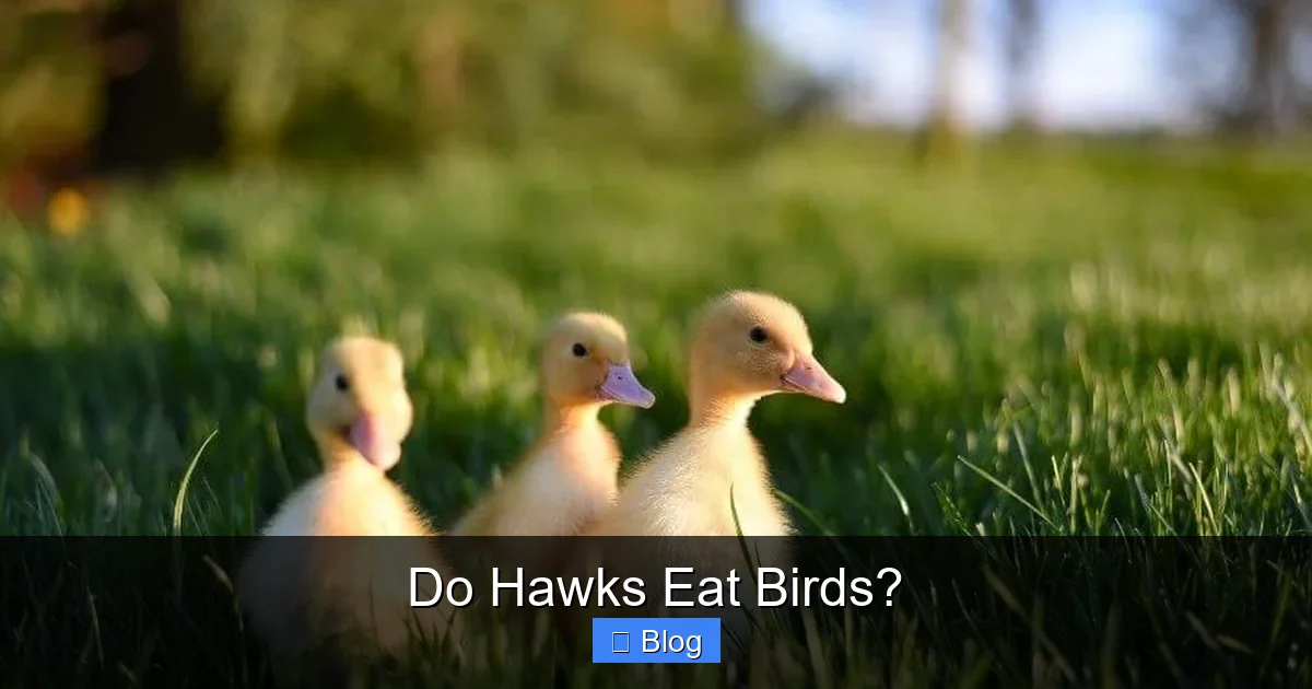 Do Hawks Eat Birds?