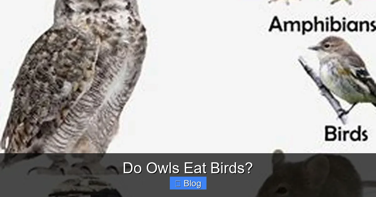 Do Owls Eat Birds?