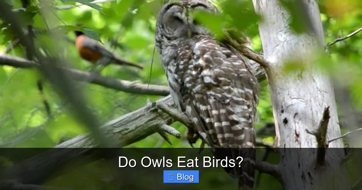 Do Owls Eat Birds?