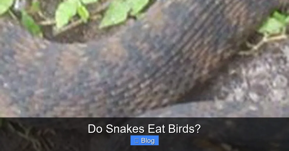 Do Snakes Eat Birds?