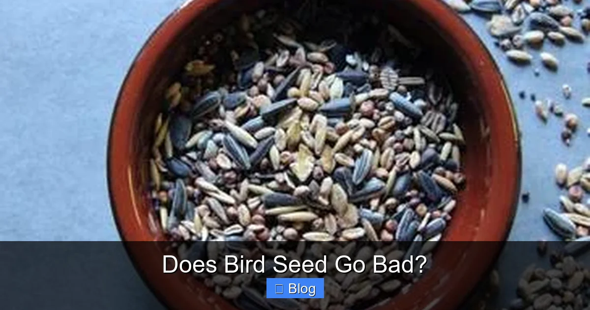Does Bird Seed Go Bad?