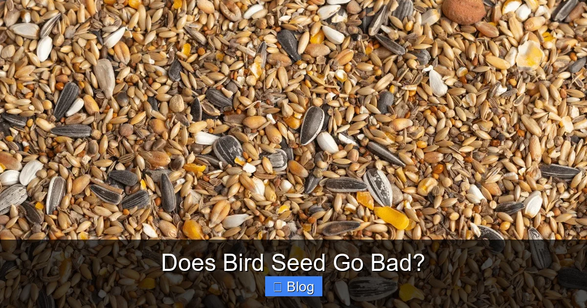 Does Bird Seed Go Bad?