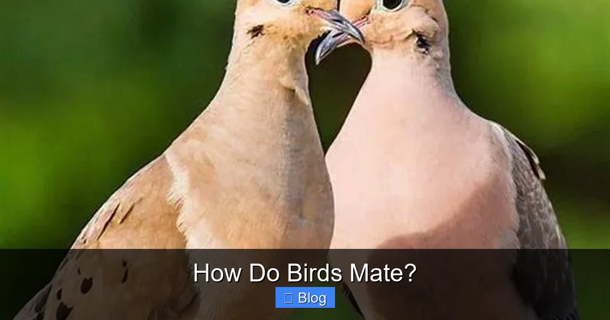 How Do Birds Mate?