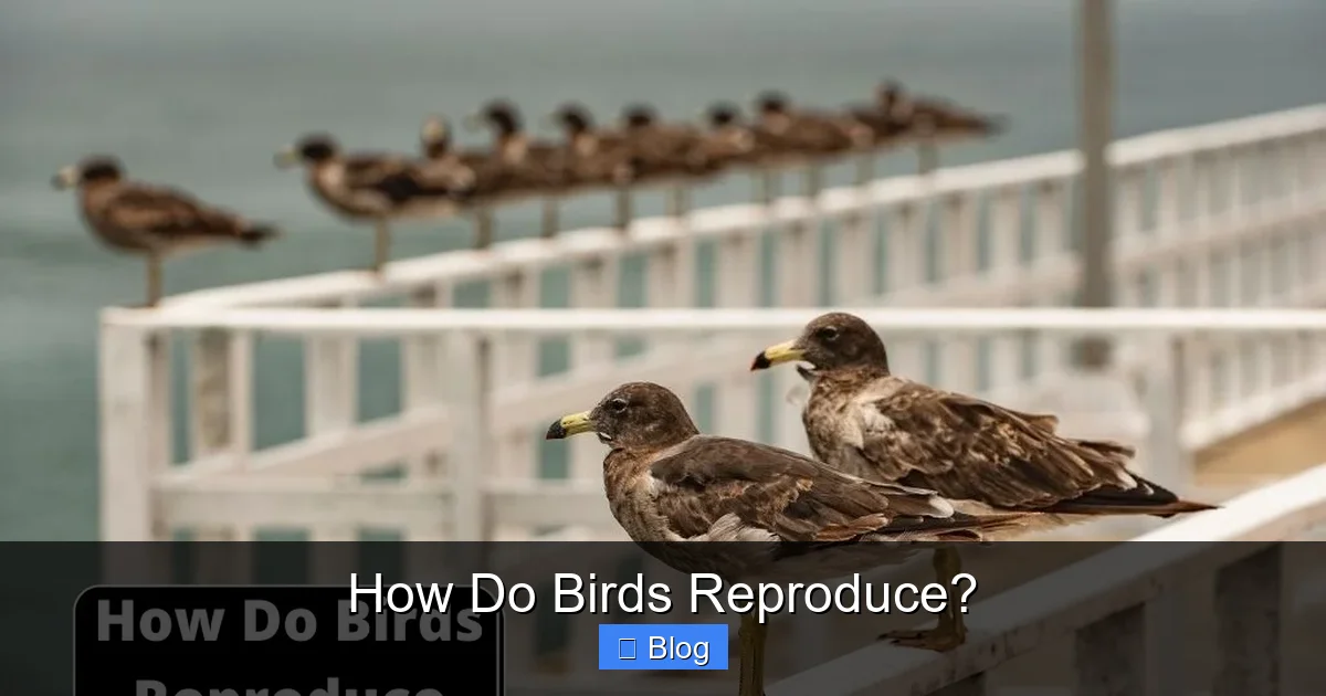 How Do Birds Reproduce?