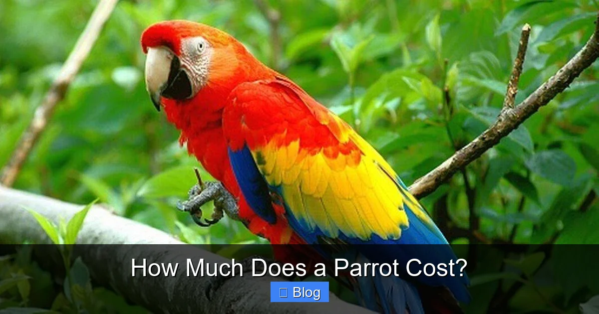How Much Does a Parrot Cost?