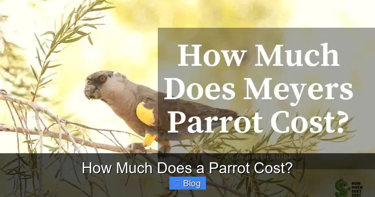 How Much Does a Parrot Cost?
