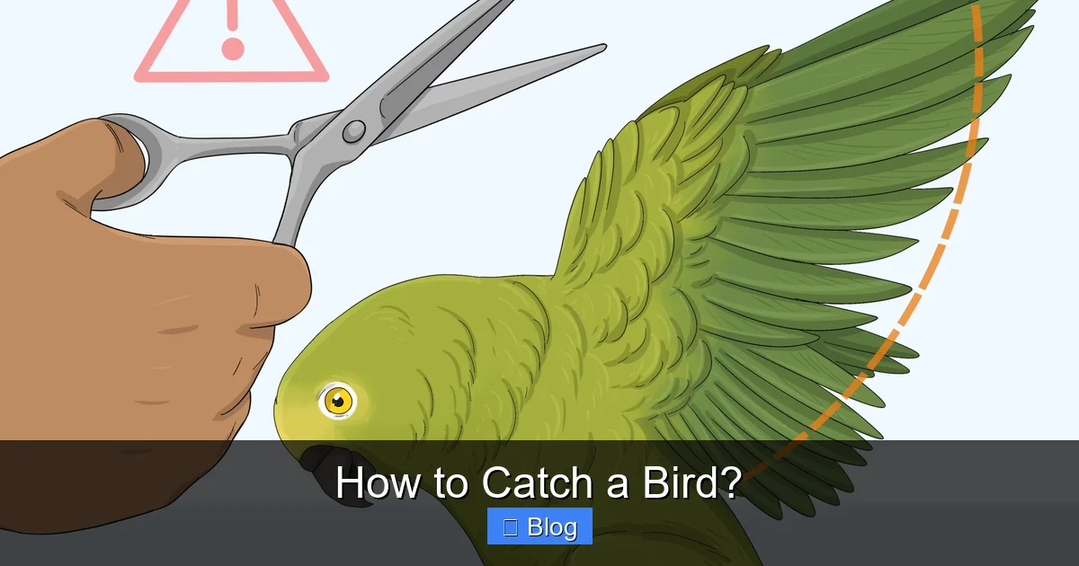 How to Catch a Bird?