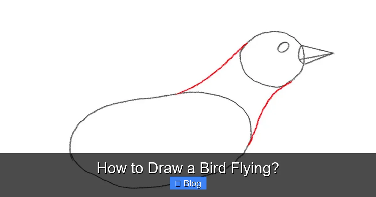 How to Draw a Bird Flying?