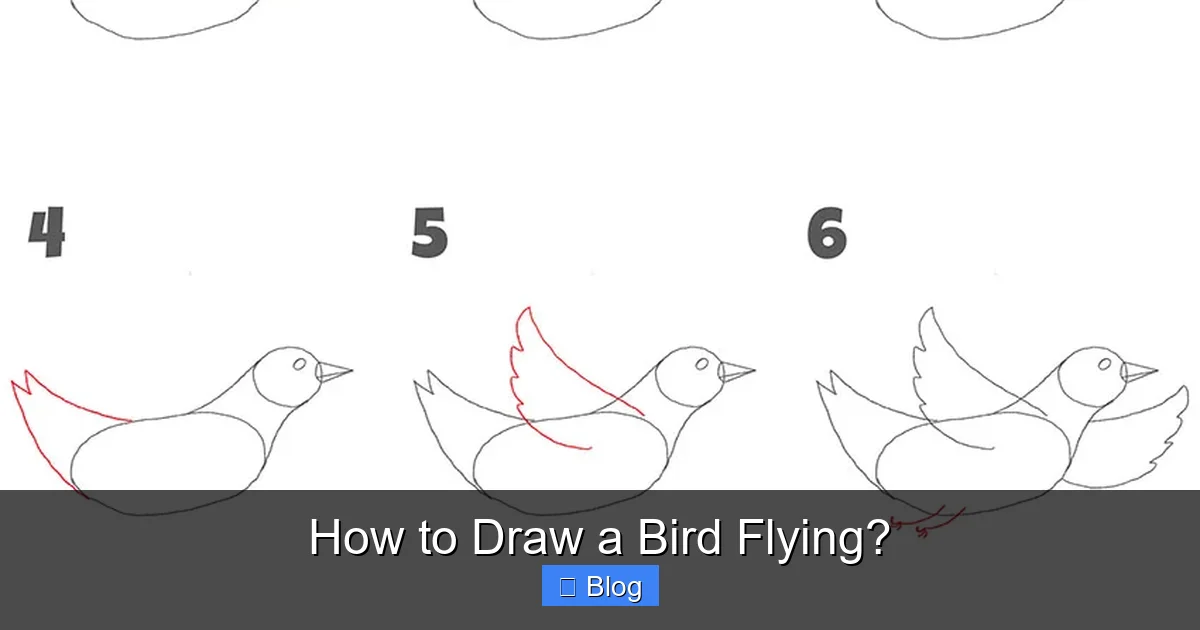 How to Draw a Bird Flying?