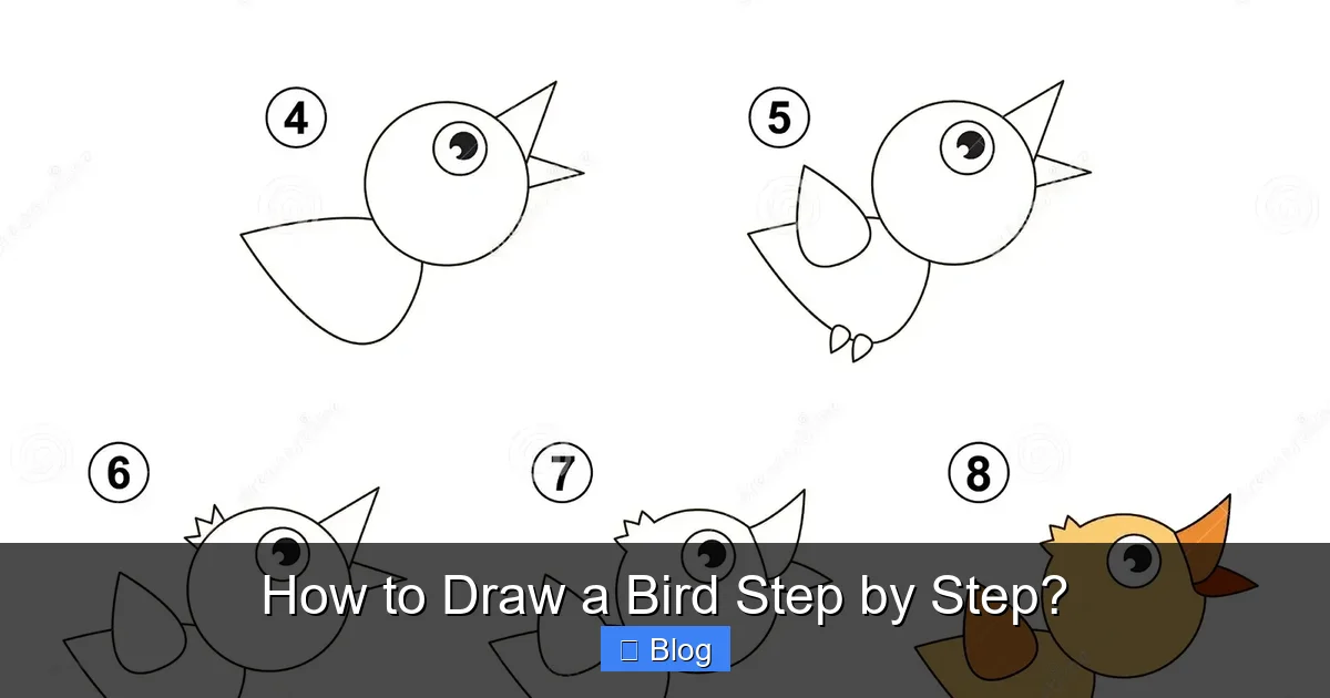 How to Draw a Bird Step by Step?